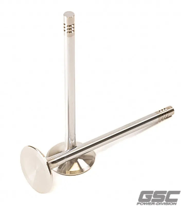 Gsc P-D Audi Daza 28Mm Head Std 101.8Mm Long Chrome Polished Exhaust Valve - Single 1