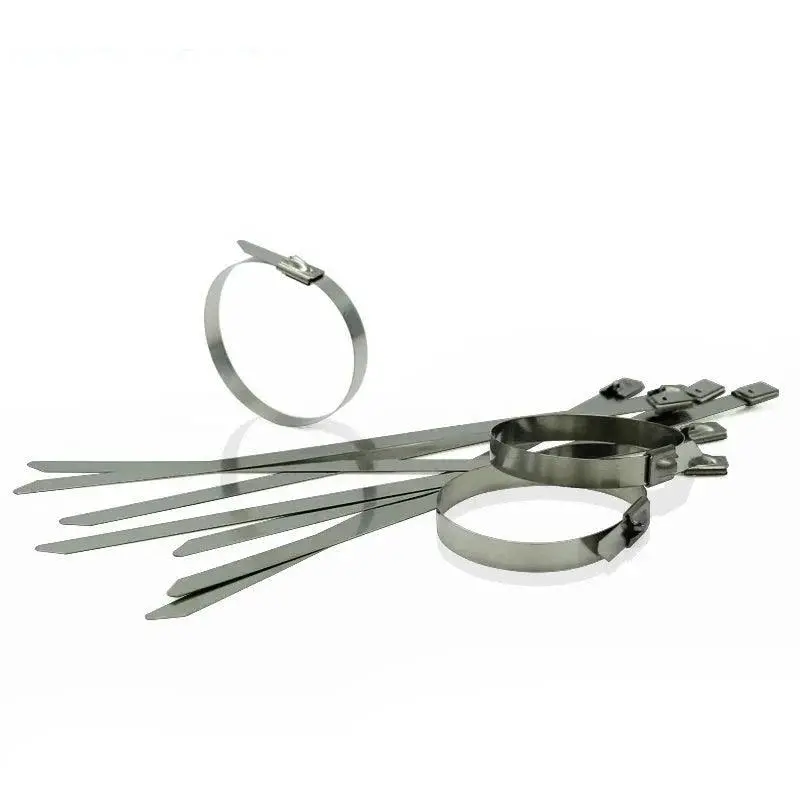 1000 Pcs /Lot 4.6 X 300Mm  (Thickness:2.5Mm )  Wide Stainless Steel Sprayed Cable Tie 1