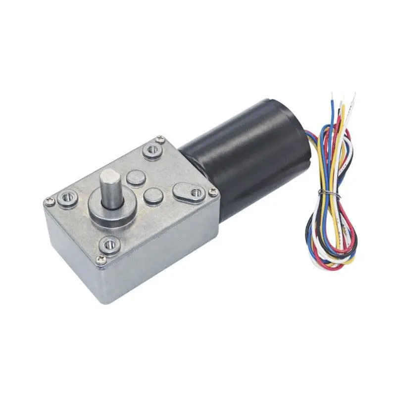 12V Dc Motor Brushless Electric Worm Geared Motor High Torque 1