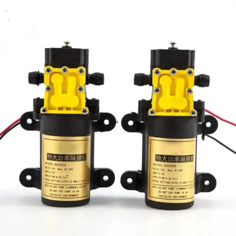12V Small Water Pump With Dc Motor Low Noise Large Flow For Drinking Diy Auto Watering Equipment Dc12v 24V Water Pomp 1