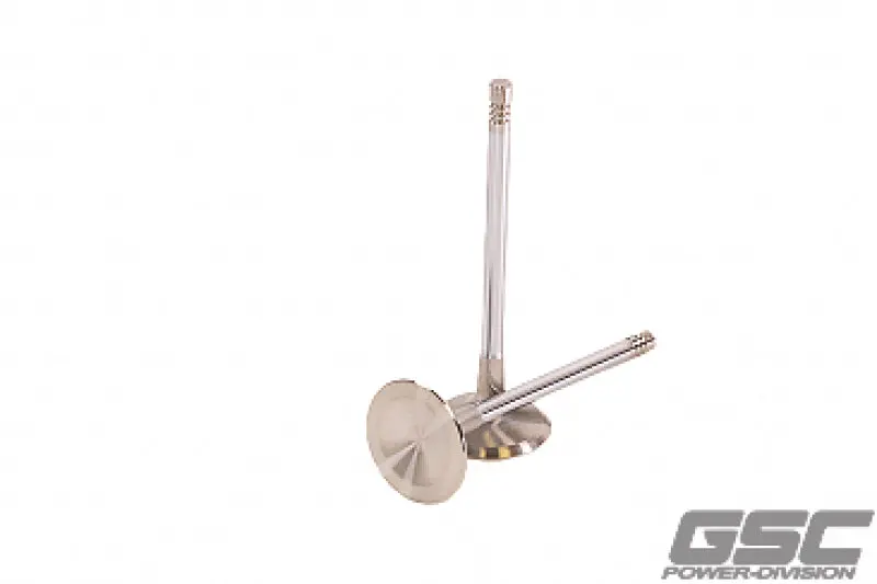 Gsc  P-D Audi Daza 33.9Mm Head Std 104Mm Long Chrome Polished Intake Valve - Single 1