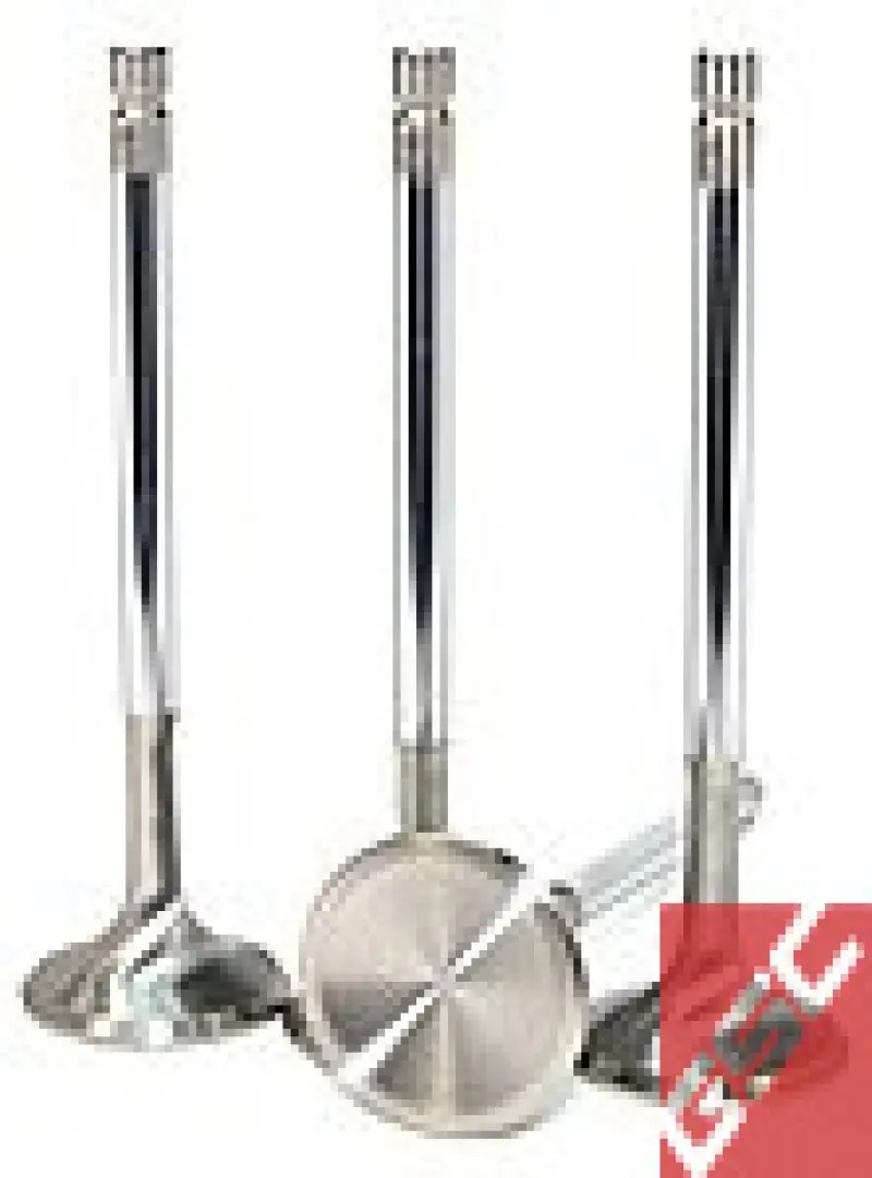 Gsc P-D Nissan Tb48de 21-4N Chrome Polished Intake Valve - 39.50Mm Head (+1Mm) - Set Of 12 1