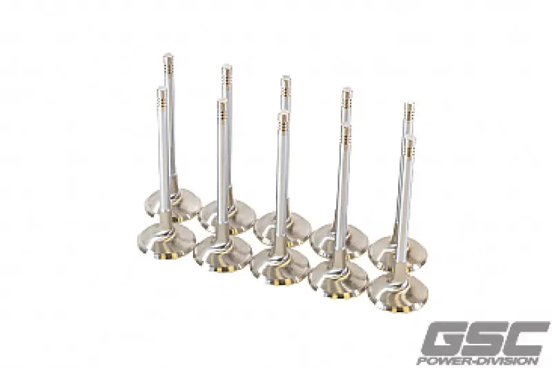 Gsc P-D Audi Daza 33.9Mm Head Std 104Mm Long Chrome Polished Intake Valve - Set Of 10 1