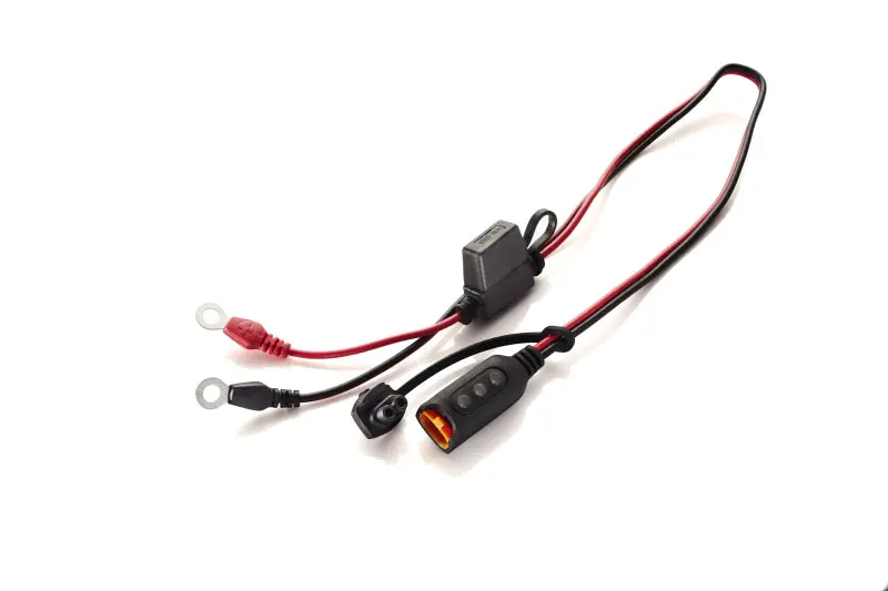 Ctek Accessory - Comfort Indicator Eyelet M6 1