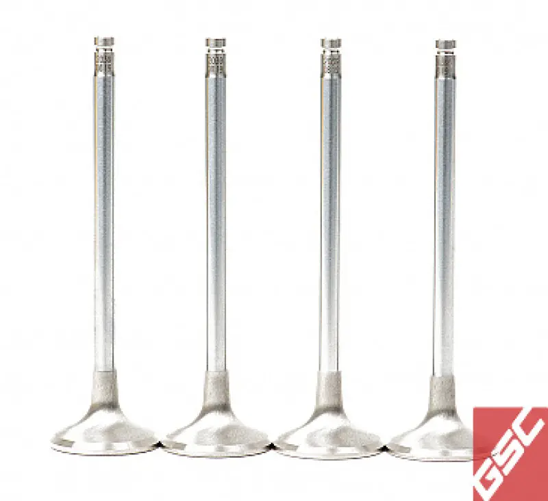 Gsc P-D Honda B-Series B16a/B17a/B18c Chrome Alloy Exhaust Valve 28Mm Head - 6Mm Stem - Set Of 8 1