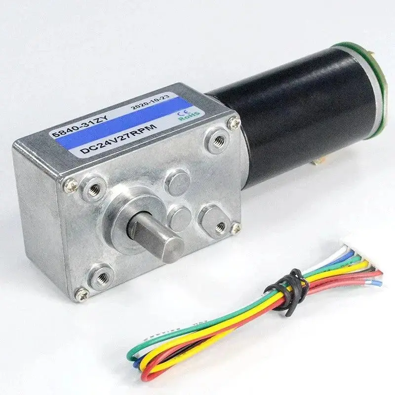 High Torque 12V Dc Motor 24V Electric Motor Worm Gear Motor With Encoder 1