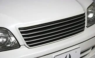 Aimgain 98-00 Ls400 Grill 1