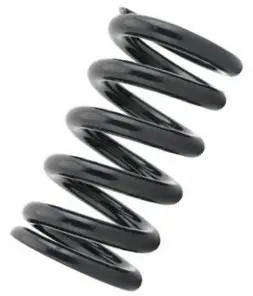 Tein Coilover Spring (Two Springs) 1