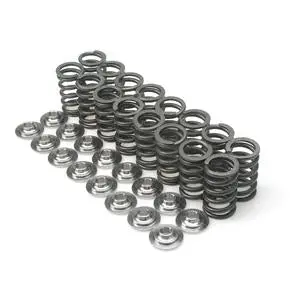 Brian Crower Nissan Tb48 Single Valve Springs 1