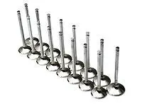 Brian Crower Toyota 7Mgte/7Mge 27.5Mm Exhaust Valves 1
