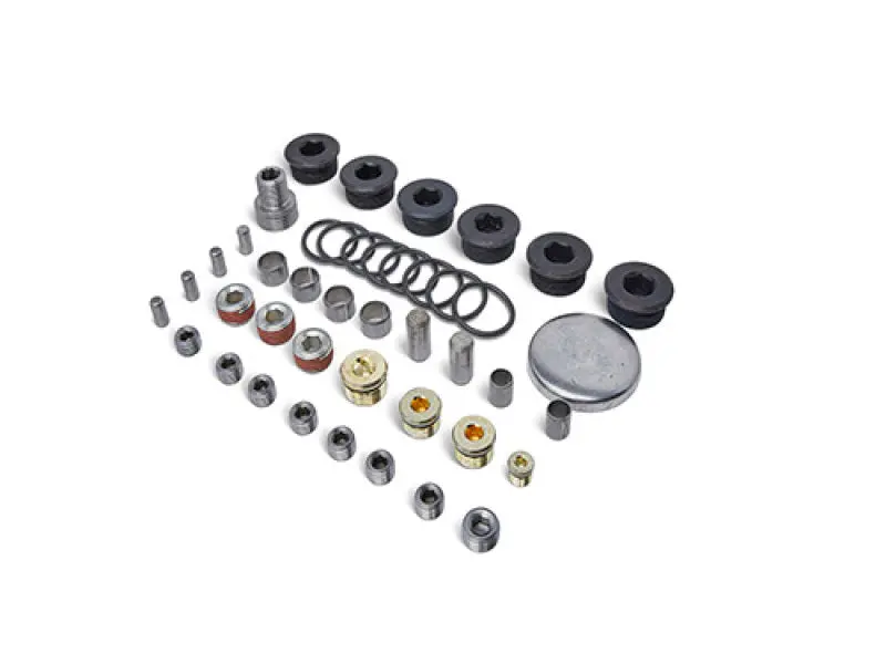 Ford Racing Z-Block Engine Block Plug And Dowel Kit 1