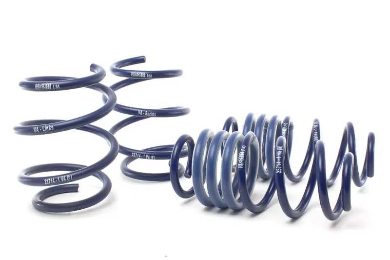 H&R Sport Lowering Springs For 2017–2021 Honda Civic Type R (Fk8) 1